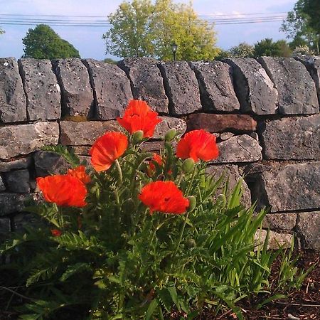 Ashfield House B&B Cong Exterior foto